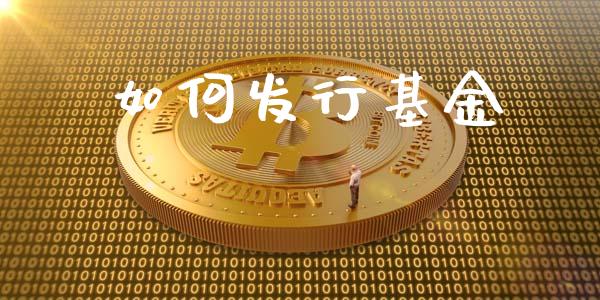 如何发行基金_https://m.jnlaobingbanjia.com_金融监管_第1张