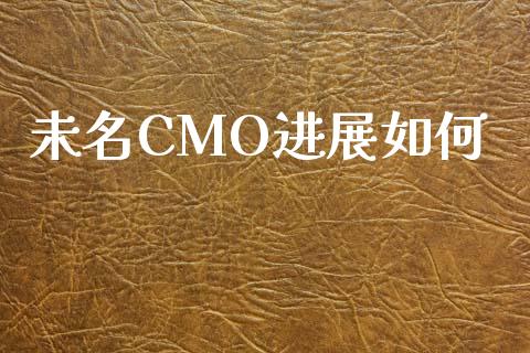 未名CMO进展如何_https://m.jnlaobingbanjia.com_基金市场_第1张