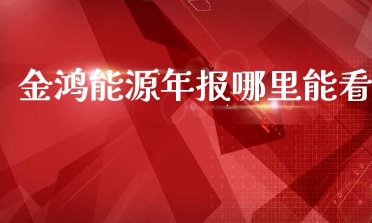 金鸿能源年报哪里能看_https://m.jnlaobingbanjia.com_理财规划_第1张
