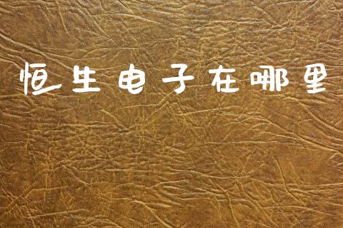 恒生电子在哪里_https://m.jnlaobingbanjia.com_股市新闻_第1张