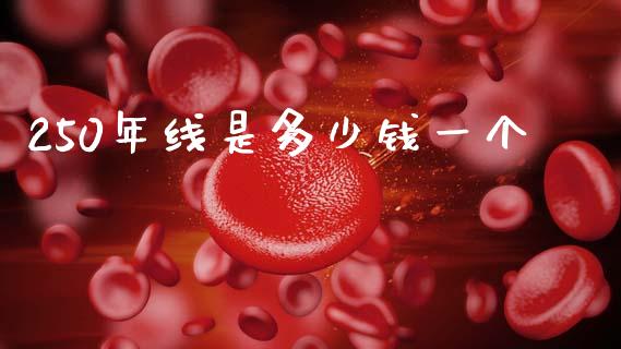 250年线是多少钱一个_https://m.jnlaobingbanjia.com_金融监管_第1张
