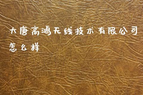 大唐高鸿无线技术有限公司怎么样_https://m.jnlaobingbanjia.com_区块链_第1张