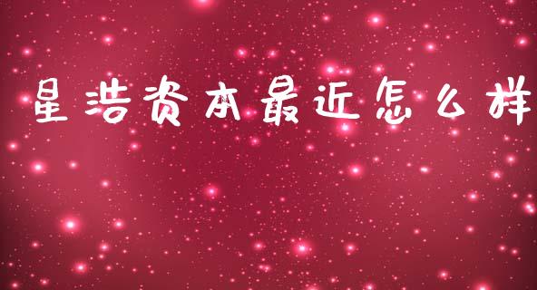 星浩资本最近怎么样_https://m.jnlaobingbanjia.com_基金市场_第1张
