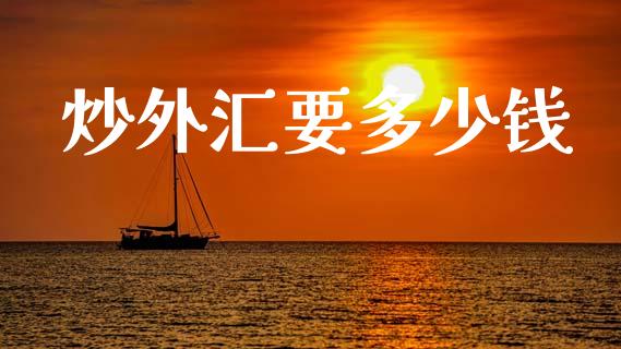 炒外汇要多少钱_https://m.jnlaobingbanjia.com_金融监管_第1张