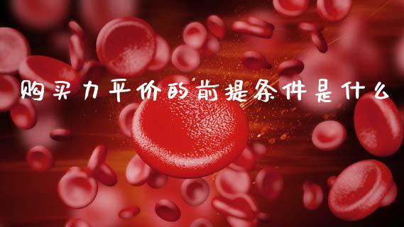 购买力平价的前提条件是什么_https://m.jnlaobingbanjia.com_股市新闻_第1张