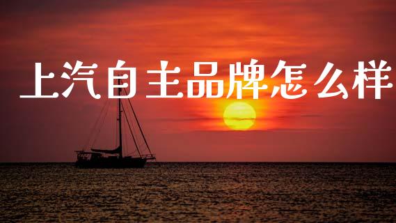 上汽自主品牌怎么样_https://m.jnlaobingbanjia.com_股市新闻_第1张