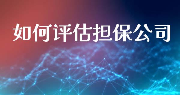 如何评估担保公司_https://m.jnlaobingbanjia.com_金融监管_第1张