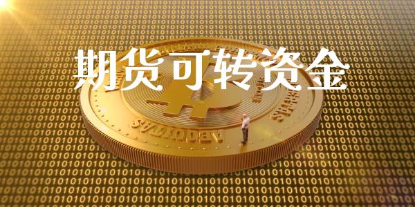 期货可转资金_https://m.jnlaobingbanjia.com_基金市场_第1张