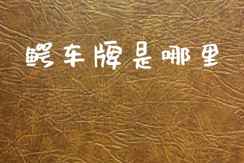 鳄车牌是哪里_https://m.jnlaobingbanjia.com_区块链_第1张