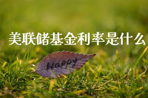 美联储基金利率是什么_https://m.jnlaobingbanjia.com_全球市场_第1张