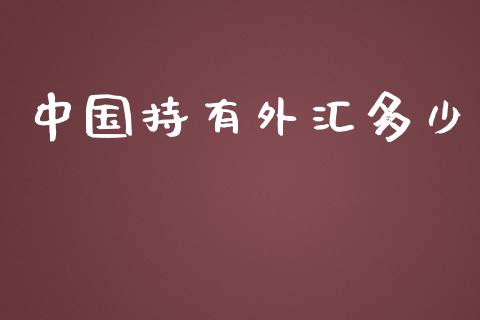中国持有外汇多少_https://m.jnlaobingbanjia.com_全球市场_第1张