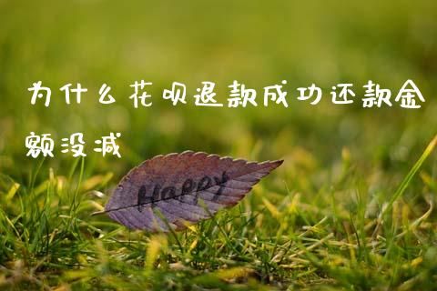 为什么花呗退款成功还款金额没减_https://m.jnlaobingbanjia.com_股市新闻_第1张