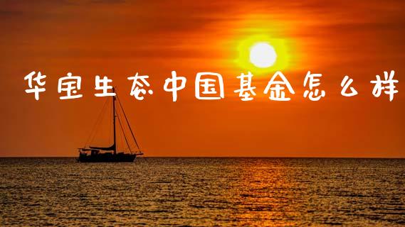 华宝生态中国基金怎么样_https://m.jnlaobingbanjia.com_金融监管_第1张