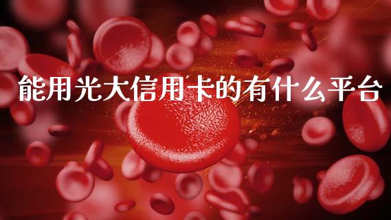 能用光大信用卡的有什么平台_https://m.jnlaobingbanjia.com_理财规划_第1张