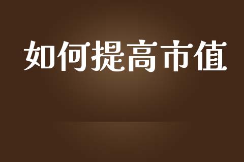 如何提高市值_https://m.jnlaobingbanjia.com_理财规划_第1张