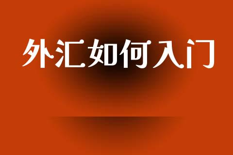 外汇如何入门_https://m.jnlaobingbanjia.com_理财规划_第1张