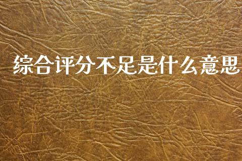 综合评分不足是什么意思_https://m.jnlaobingbanjia.com_股市新闻_第1张