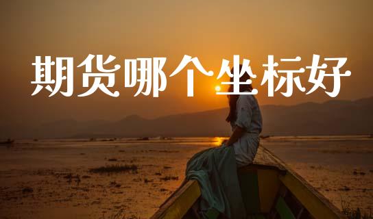 期货哪个坐标好_https://m.jnlaobingbanjia.com_股市新闻_第1张