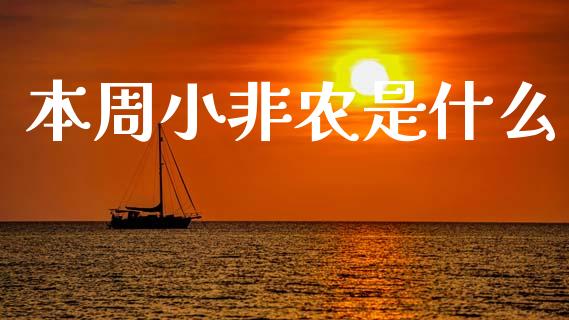 本周小非农是什么_https://m.jnlaobingbanjia.com_理财规划_第1张