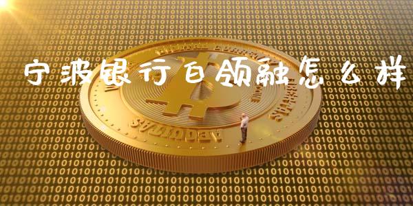 宁波银行白领融怎么样_https://m.jnlaobingbanjia.com_基金市场_第1张
