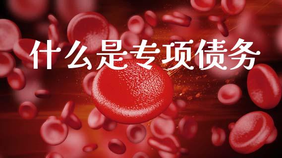 什么是专项债务_https://m.jnlaobingbanjia.com_理财规划_第1张
