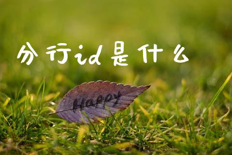 分行id是什么_https://m.jnlaobingbanjia.com_全球市场_第1张