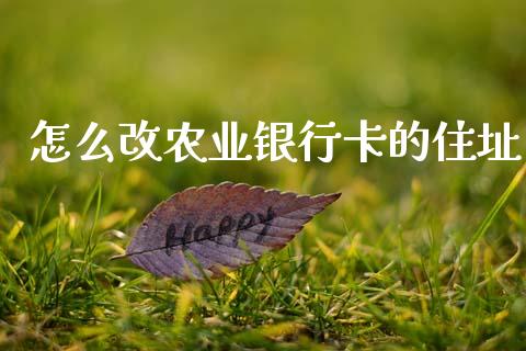 怎么改农业银行卡的住址_https://m.jnlaobingbanjia.com_股市新闻_第1张