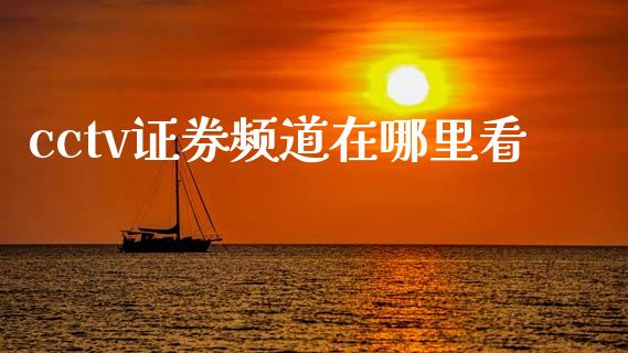 cctv证券频道在哪里看_https://m.jnlaobingbanjia.com_理财规划_第1张