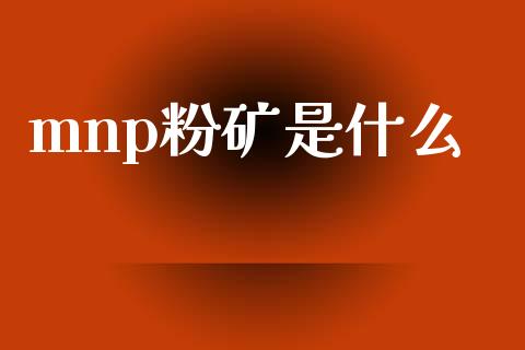 mnp粉矿是什么_https://m.jnlaobingbanjia.com_股市新闻_第1张
