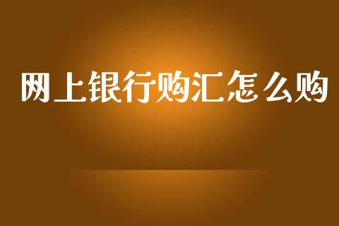 网上银行购汇怎么购_https://m.jnlaobingbanjia.com_理财规划_第1张