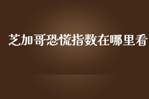 芝加哥恐慌指数在哪里看_https://m.jnlaobingbanjia.com_基金市场_第1张