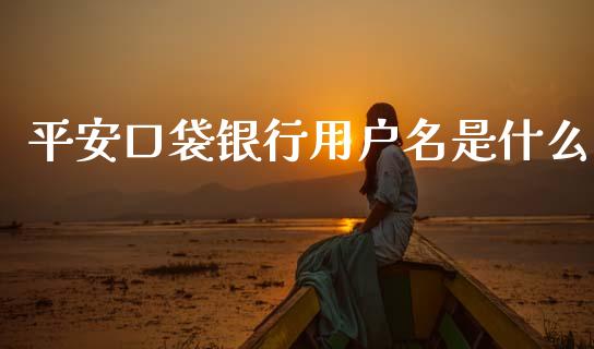 平安口袋银行用户名是什么_https://m.jnlaobingbanjia.com_区块链_第1张