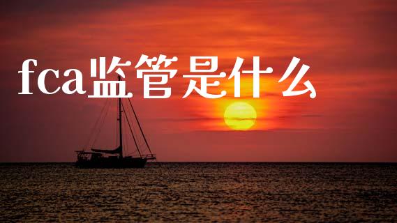 fca监管是什么_https://m.jnlaobingbanjia.com_基金市场_第1张