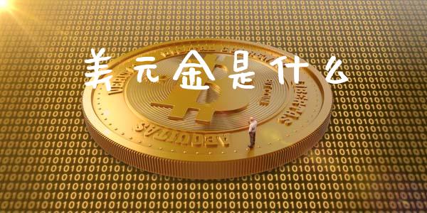 美元金是什么_https://m.jnlaobingbanjia.com_基金市场_第1张