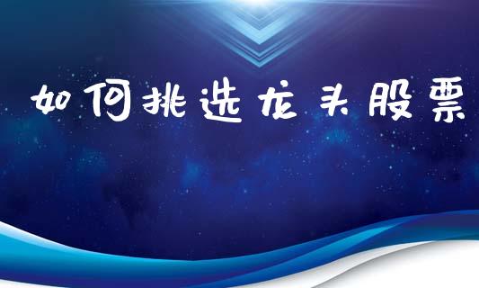 如何挑选龙头股票_https://m.jnlaobingbanjia.com_全球市场_第1张