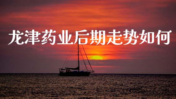 龙津药业后期走势如何_https://m.jnlaobingbanjia.com_全球市场_第1张