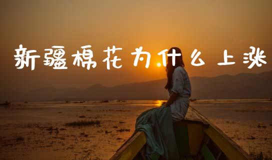新疆棉花为什么上涨_https://m.jnlaobingbanjia.com_金融监管_第1张