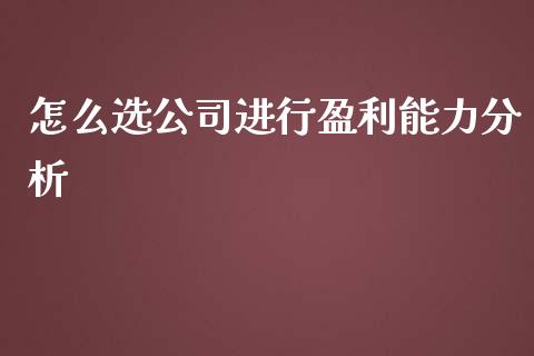 怎么选公司进行盈利能力分析_https://m.jnlaobingbanjia.com_全球市场_第1张