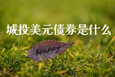 城投美元债券是什么_https://m.jnlaobingbanjia.com_股市新闻_第1张