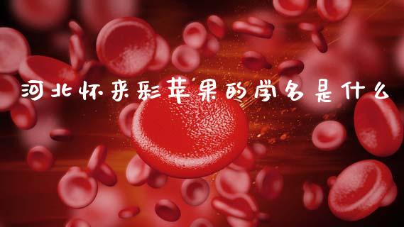 河北怀来彩苹果的学名是什么_https://m.jnlaobingbanjia.com_理财规划_第1张