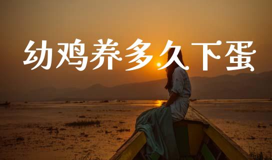 幼鸡养多久下蛋_https://m.jnlaobingbanjia.com_金融监管_第1张