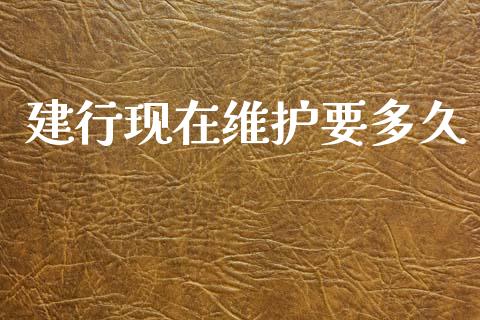 建行现在维护要多久_https://m.jnlaobingbanjia.com_金融监管_第1张