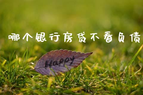 哪个银行房贷不看负债_https://m.jnlaobingbanjia.com_金融监管_第1张