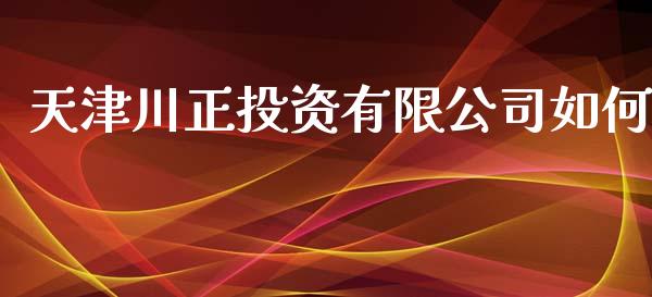 天津川正投资有限公司如何_https://m.jnlaobingbanjia.com_基金市场_第1张