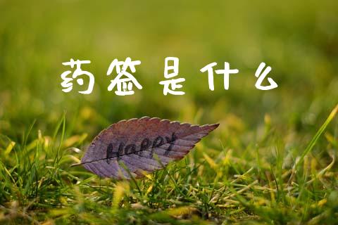 药签是什么_https://m.jnlaobingbanjia.com_全球市场_第1张
