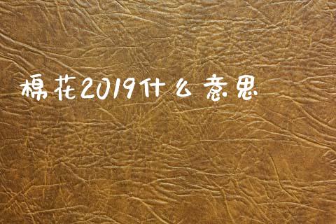 棉花2019什么意思_https://m.jnlaobingbanjia.com_股市新闻_第1张