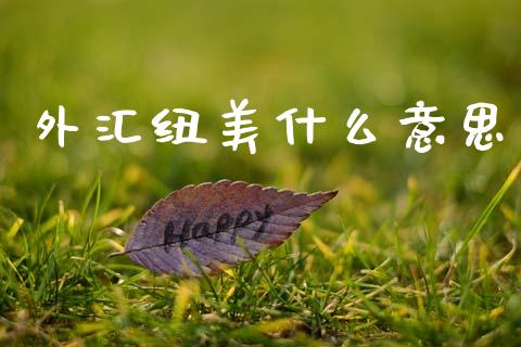 外汇纽美什么意思_https://m.jnlaobingbanjia.com_基金市场_第1张