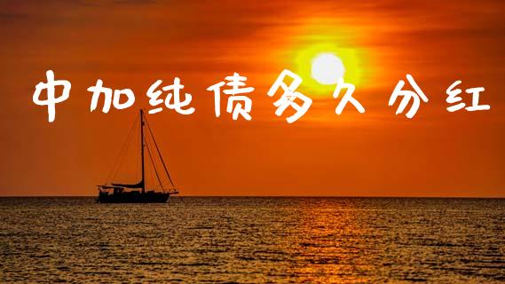 中加纯债多久分红_https://m.jnlaobingbanjia.com_全球市场_第1张