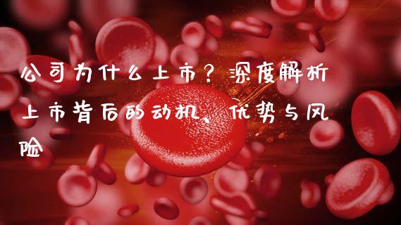 公司为什么上市？深度解析上市背后的动机、优势与风险_https://m.jnlaobingbanjia.com_基金市场_第1张