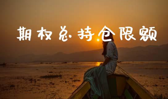 期权总持仓限额_https://m.jnlaobingbanjia.com_区块链_第1张